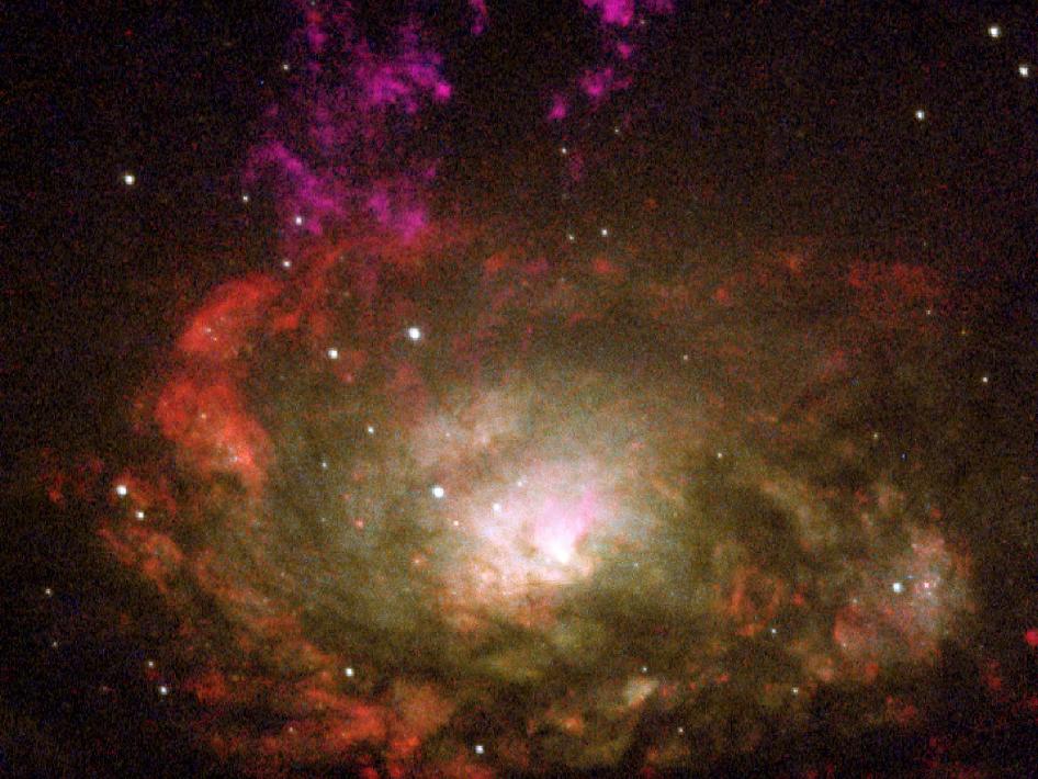 Circinus Galaxy Circinus Galaxy